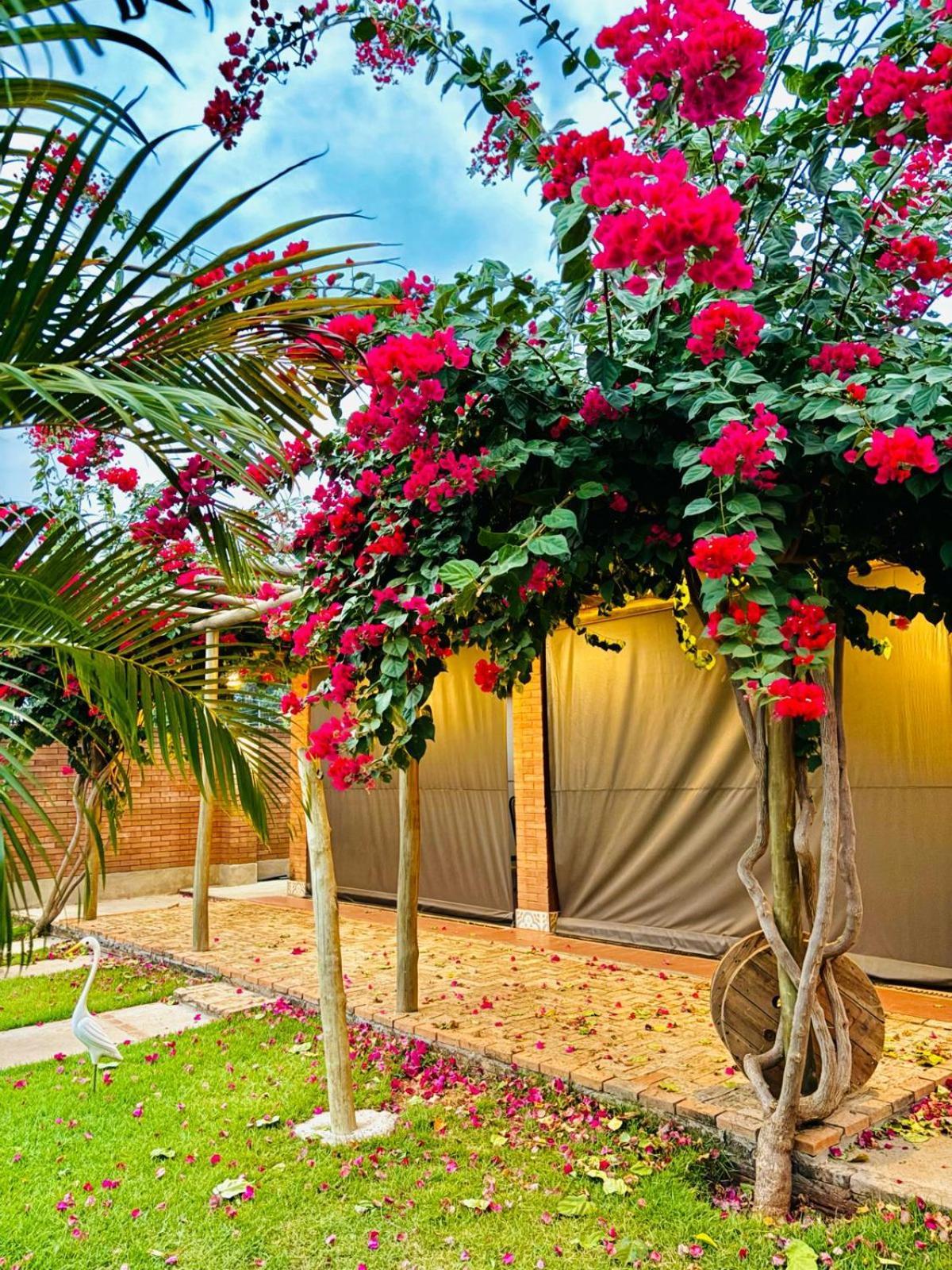 Casa Ecologica Temporada Holiday home
